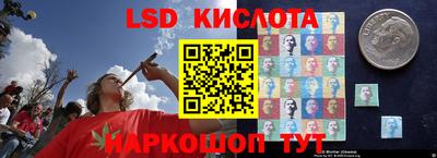 крисы Будённовск