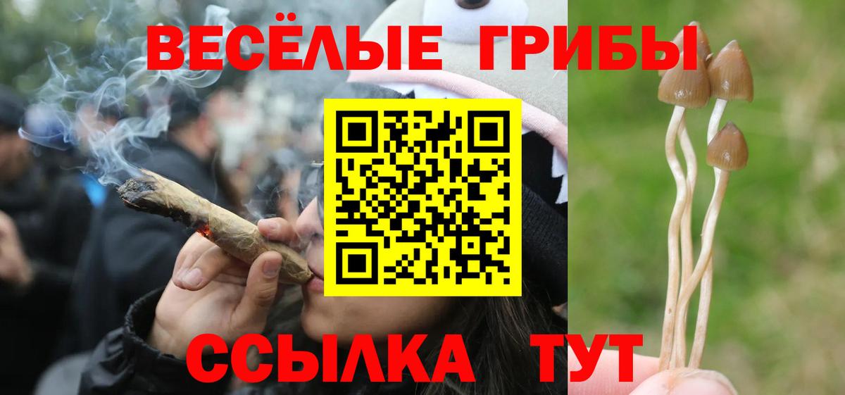 сколько стоит  Галлюциногенные грибы Cubensis  Вход с VPN  Шумерля 