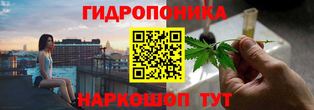 Канабис конопля  Бошки Шишки планчик  Вход с VPN  Шумерля 